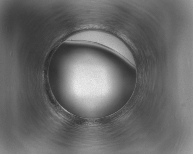 X0000073930207200608111034