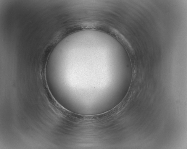X0000073930209200608111034