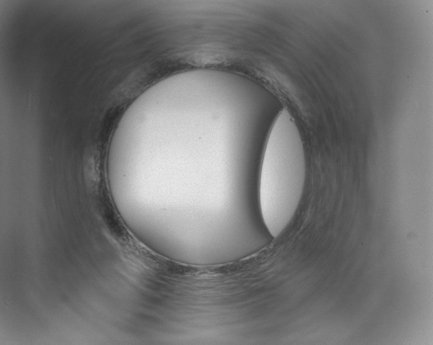 X0000073930210200608111034