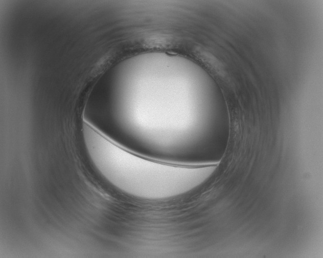 X0000073930211200608111034