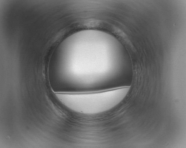 X0000073930212200608111034