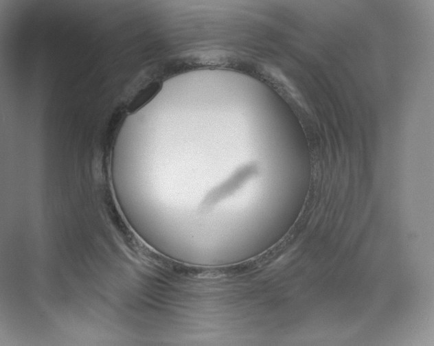 X0000073930213200608111034