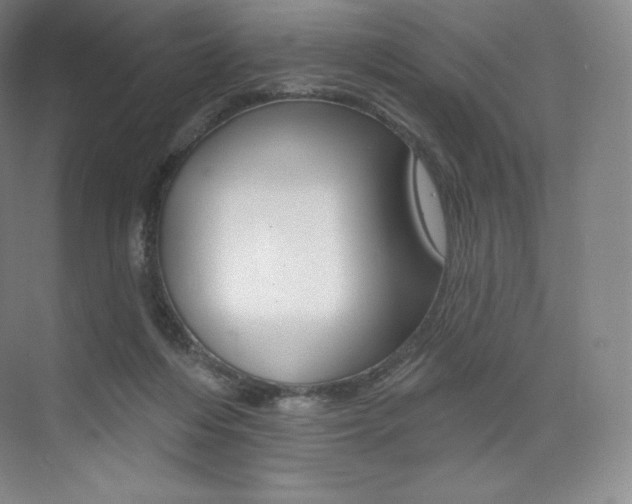 X0000073930216200608111034