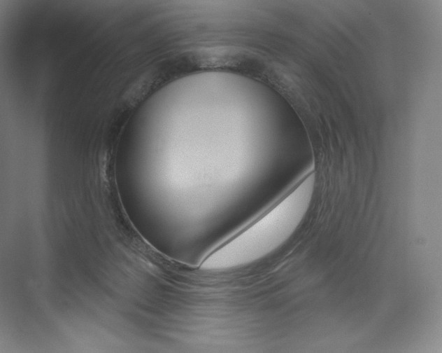 X0000073930219200608111034