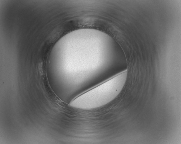 X0000073930224200608111034