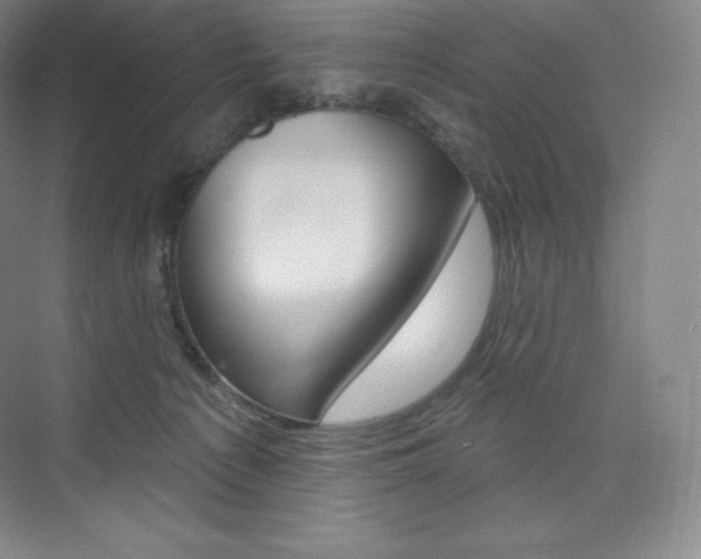 X0000073930225200608111034