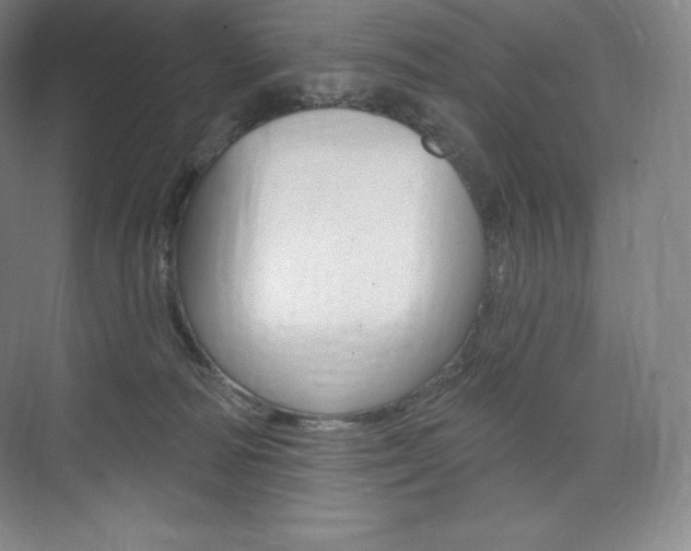 X0000073930226200608111034