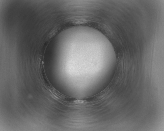 X0000073930227200608111034