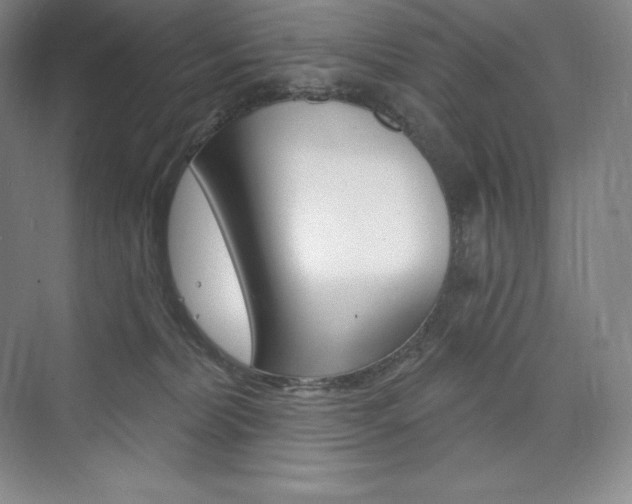 X0000073930228200608111034