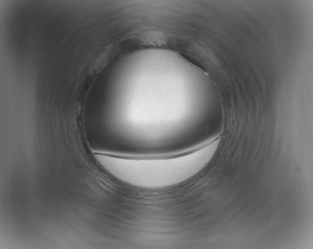 X0000073930229200608111034