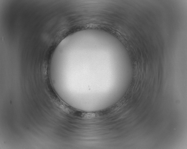 X0000073930230200608111034