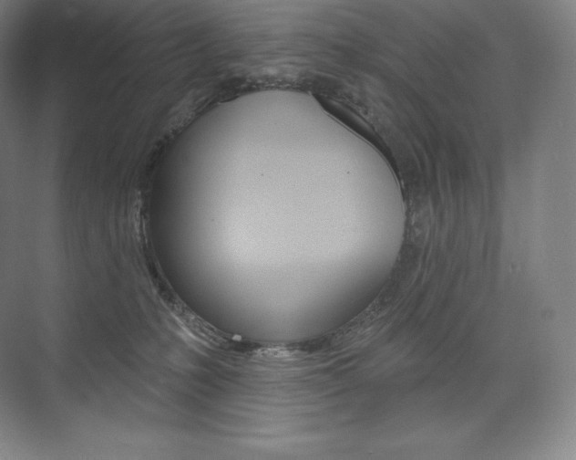 X0000073930231200608111034
