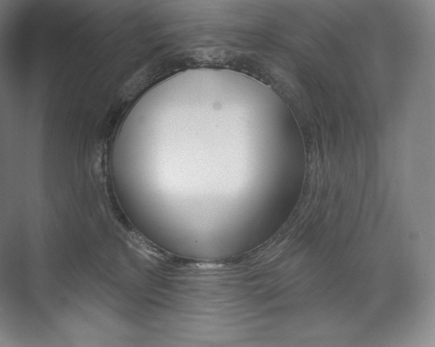 X0000073930233200608111034