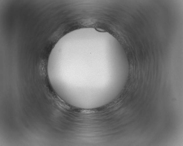 X0000073930234200608111034