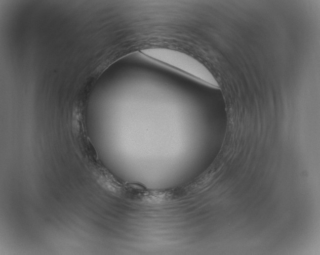 X0000073930235200608111034