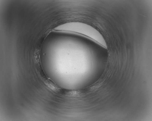 X0000073930237200608111034