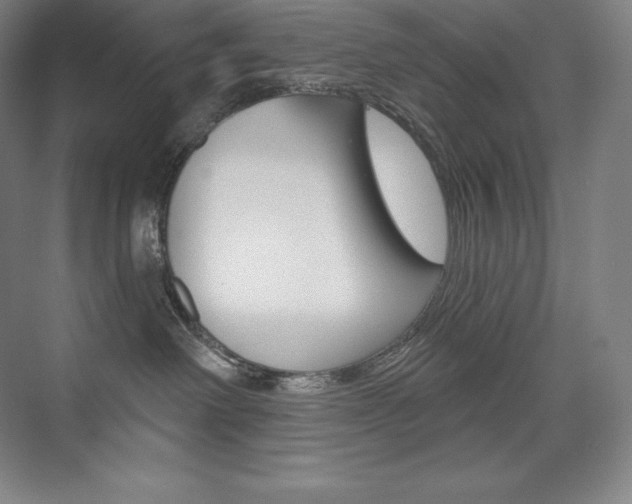 X0000073930238200608111034