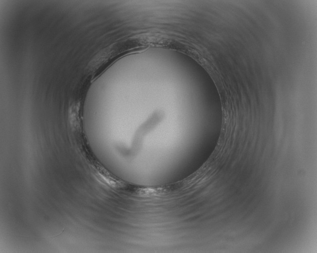 X0000073930239200608111034