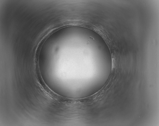 X0000073930243200608111033