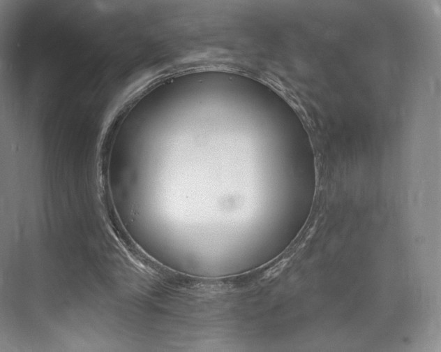X0000073930245200608111033