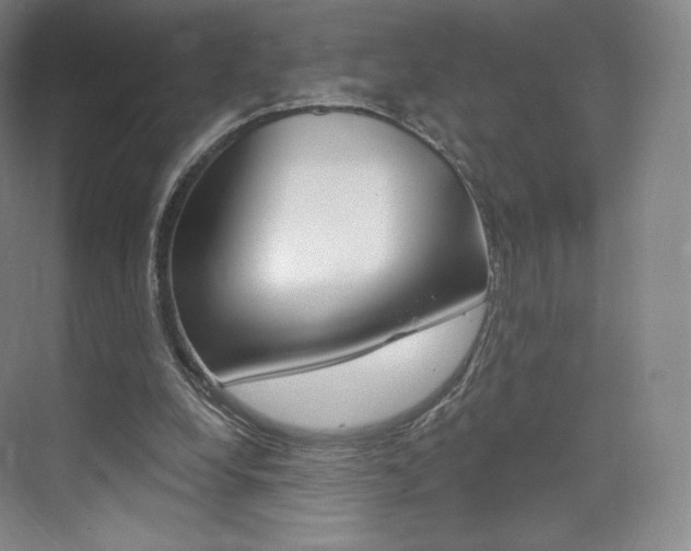 X0000073930248200608111033