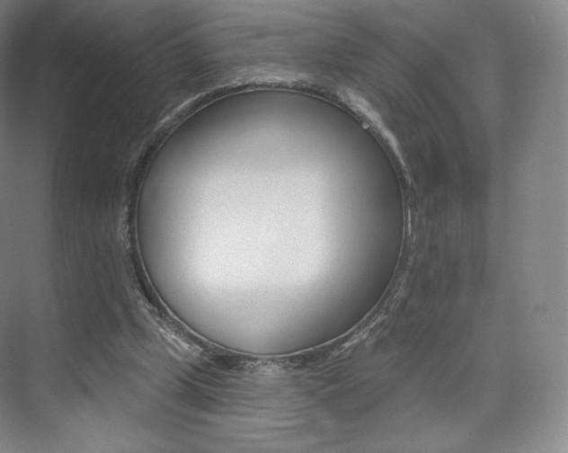 X0000073930249200608111033