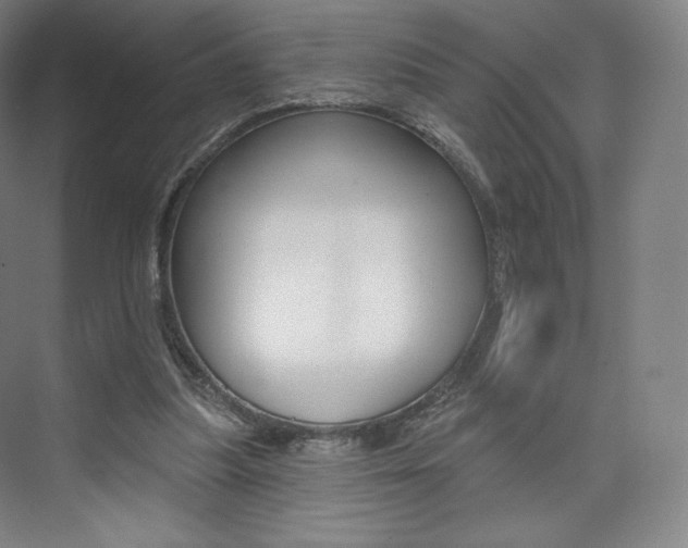 X0000073930251200608111033