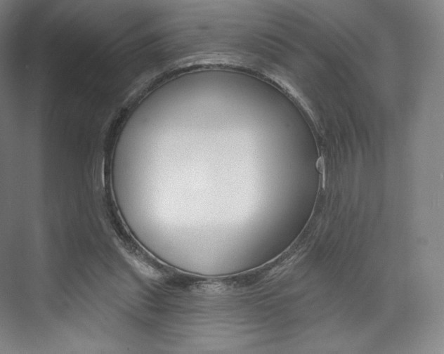 X0000073930253200608111033
