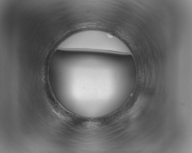 X0000073930255200608111033