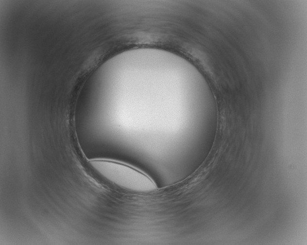 X0000073930257200608111033