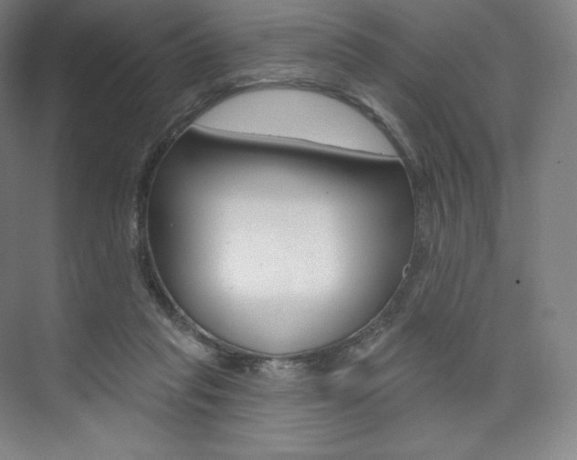 X0000073930261200608111033
