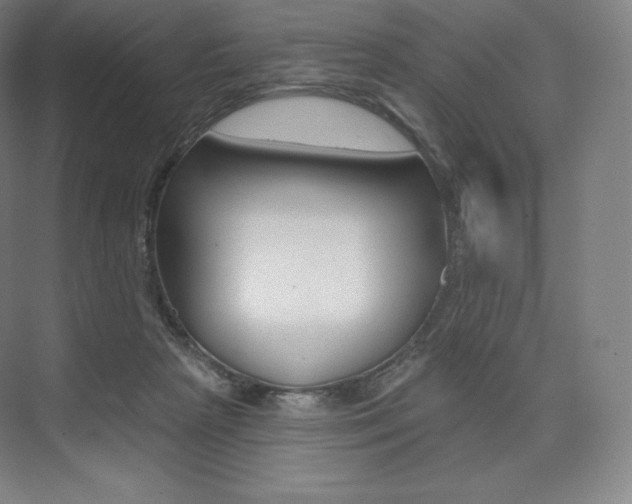 X0000073930265200608111033