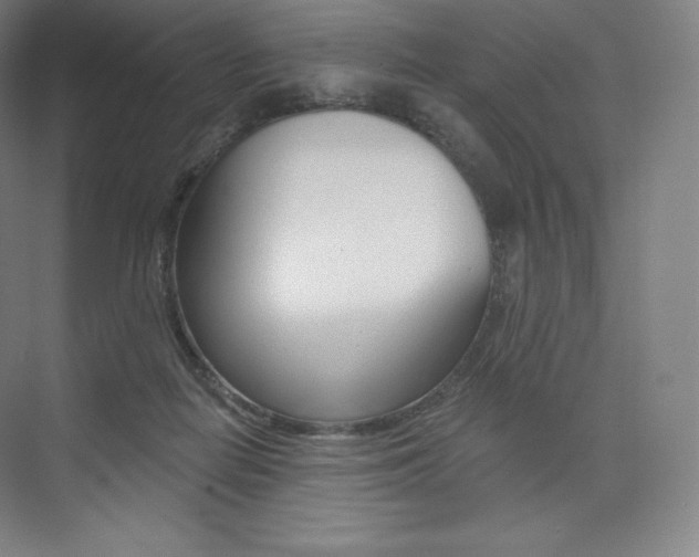 X0000073930266200608111033