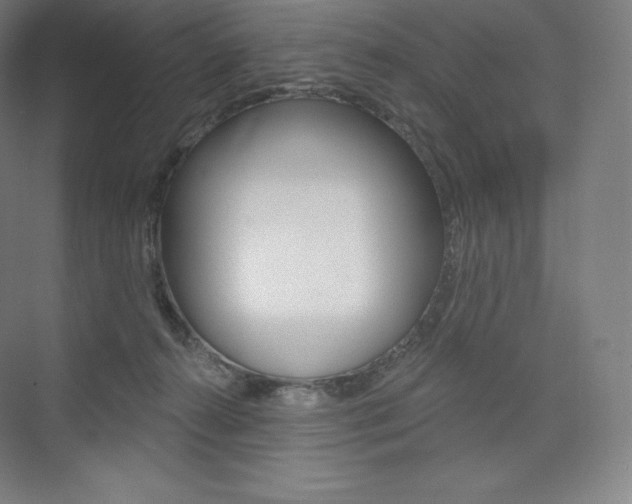 X0000073930272200608111033