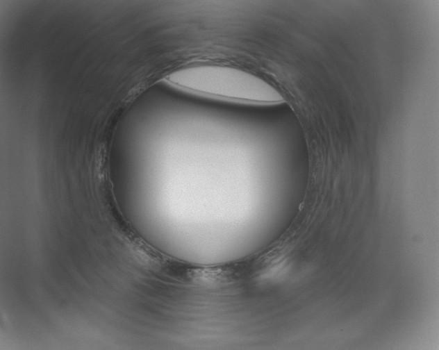 X0000073930273200608111033