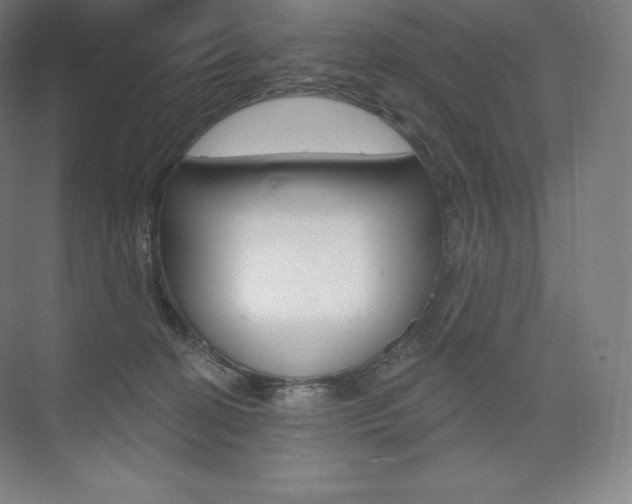 X0000073930274200608111033