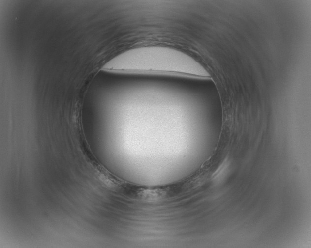 X0000073930277200608111033