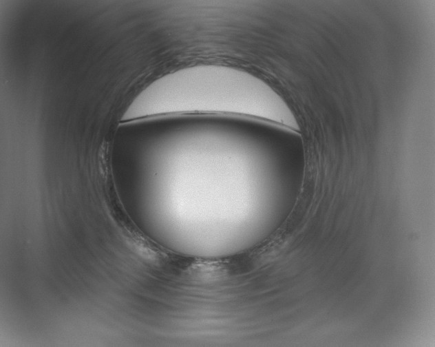 X0000073930280200608111033