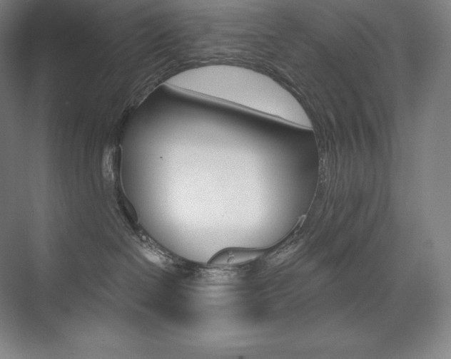 X0000073930286200608111034