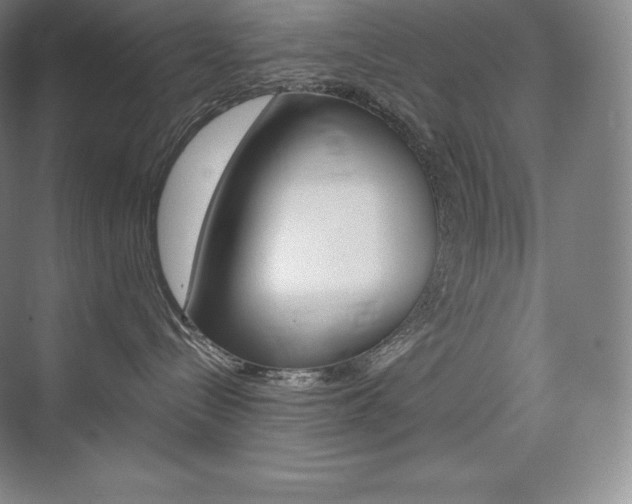 X0000073930288200608111034