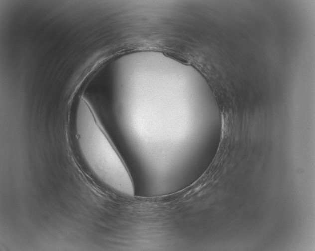 X0000073930291200608111033