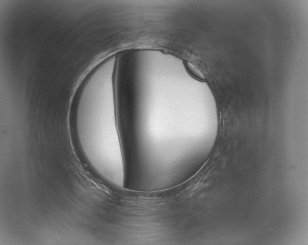 X0000073930292200608111033