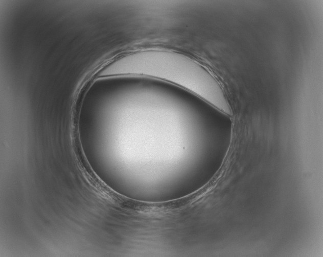 X0000073930293200608111033