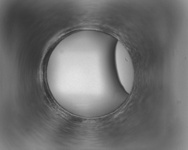 X0000073930294200608111033