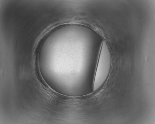 X0000073930295200608111033