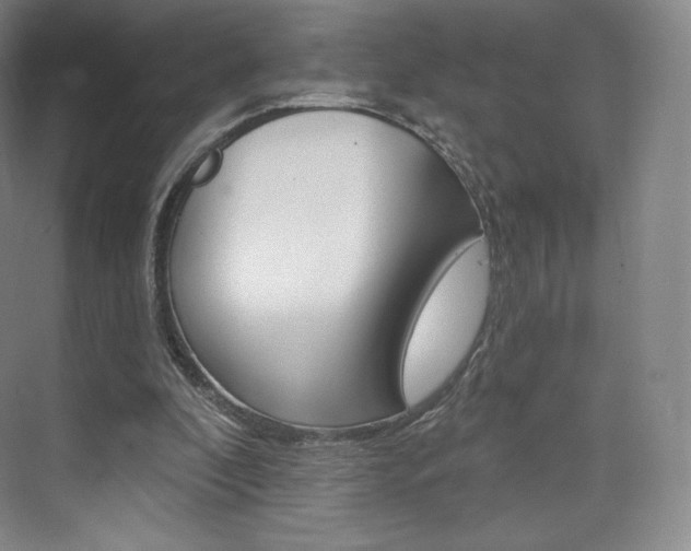 X0000073930296200608111033
