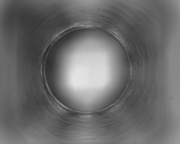 X0000073930301200608111033