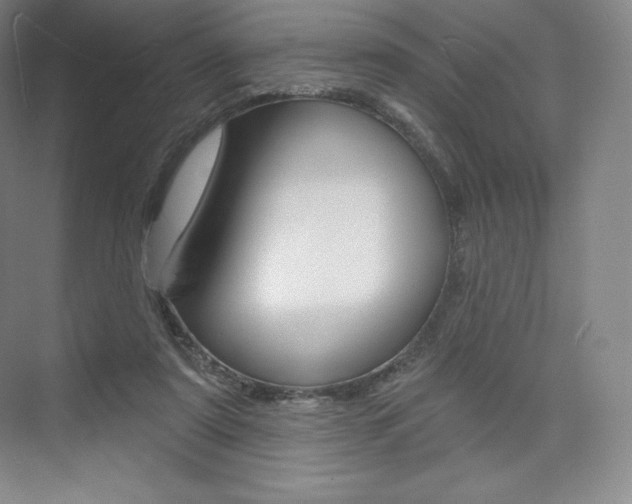 X0000073930307200608111032