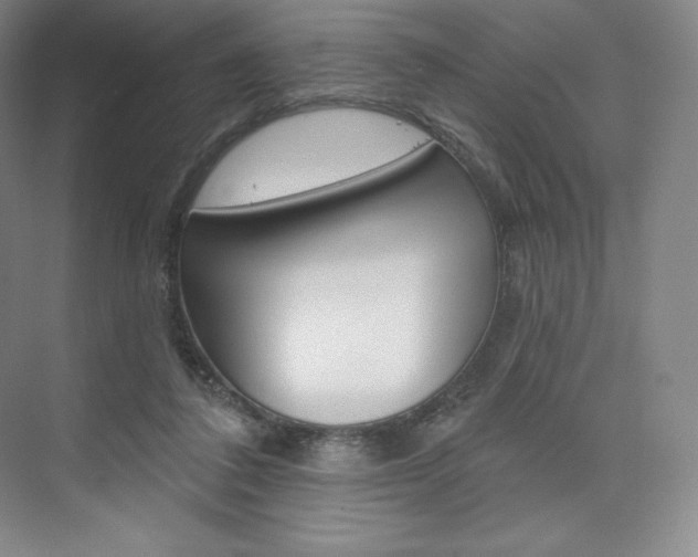 X0000073930308200608111032