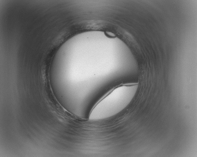 X0000073930312200608111032